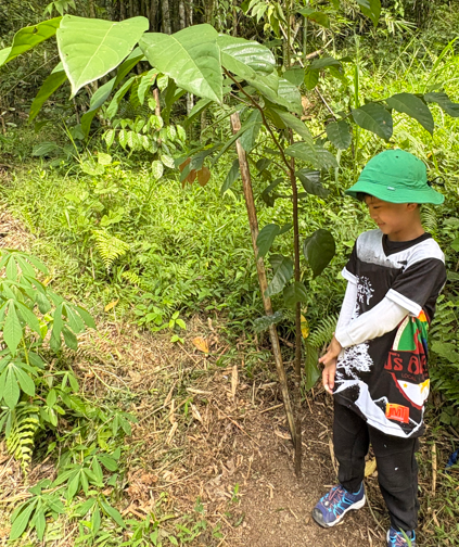 Planting Together: A Community Tree Planting Day in Davao del Norte